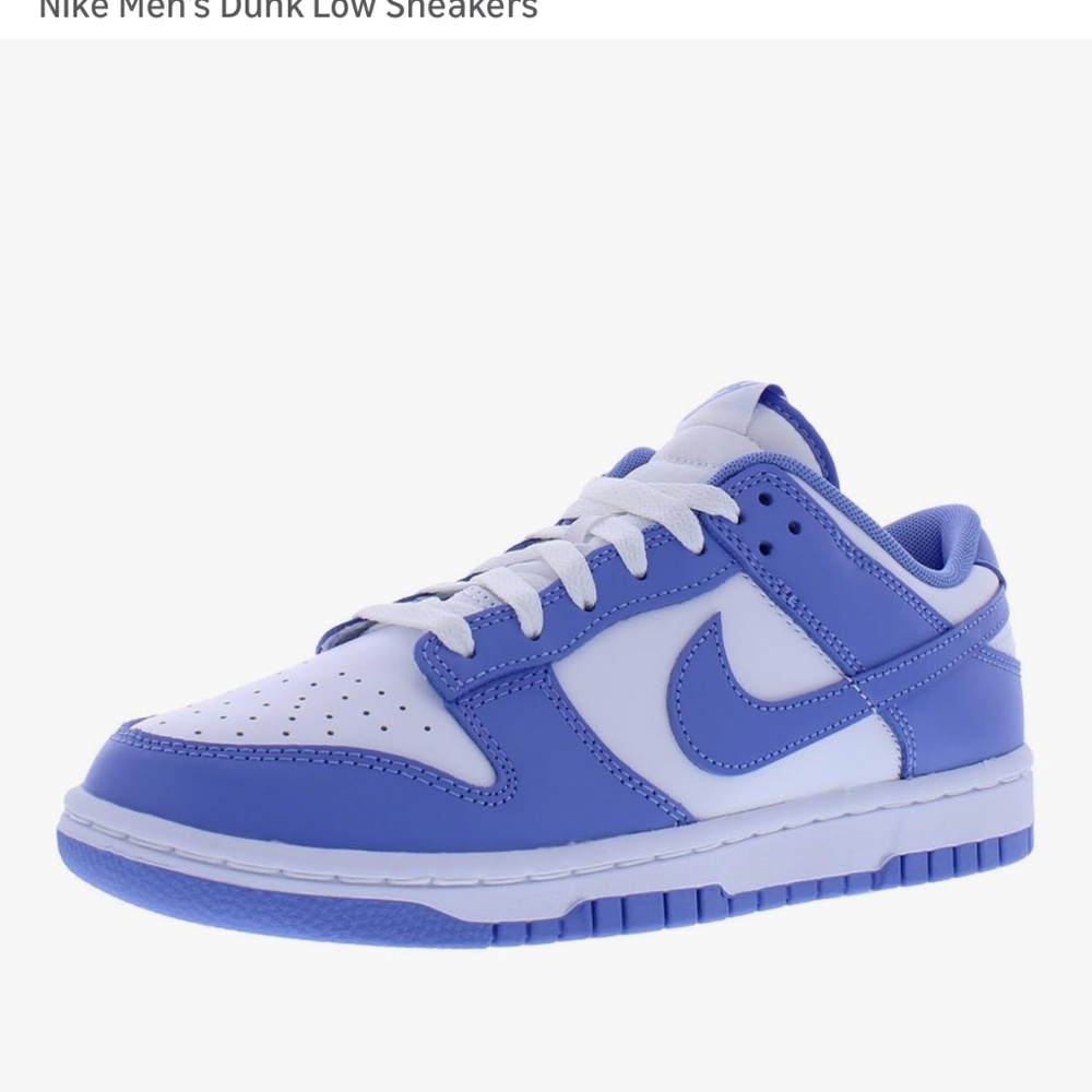 PUrple NIKE Dunks: Size 11